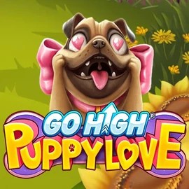 Go High Puppy Love game by RubyPlay – logo hosted on Gransino Casino